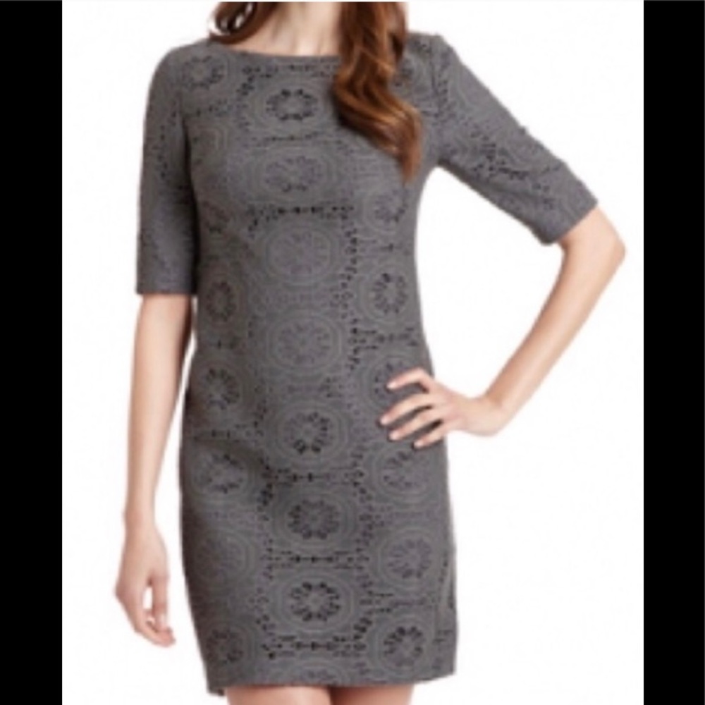 NWOT Adrianna Papell lace shift dressSz.8